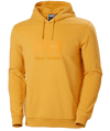 Helly Hansen HH Logo Hoodie